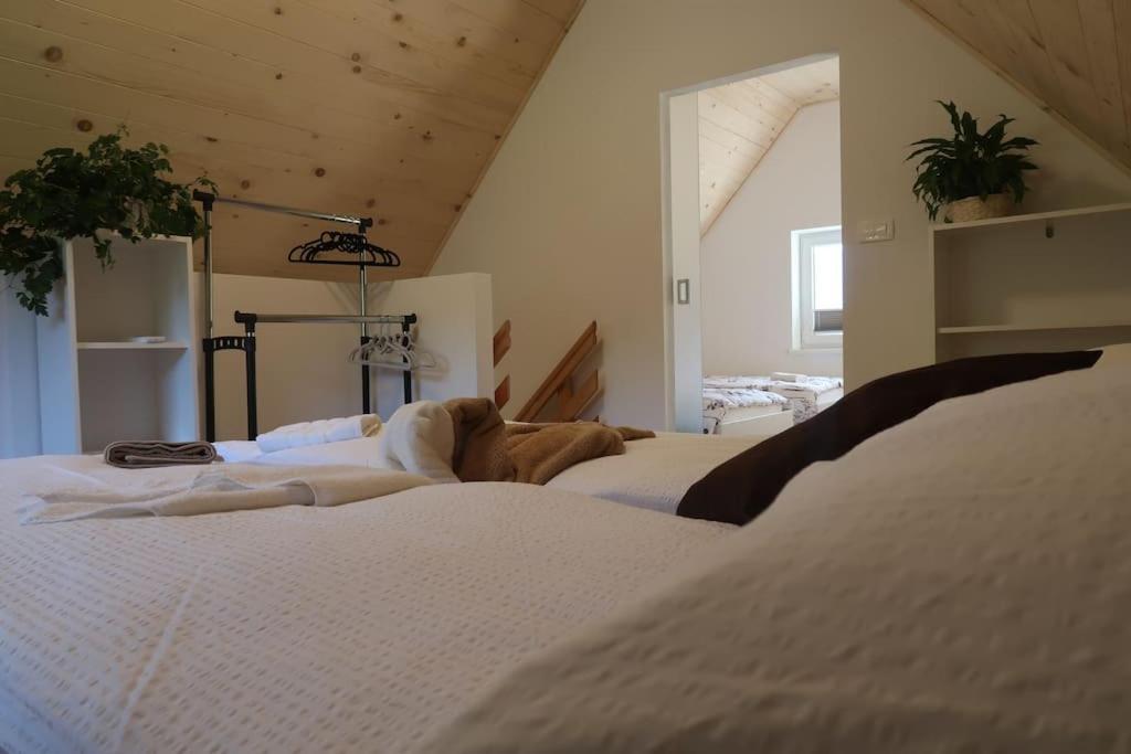 Holiday Home Dreams Kobarid Buitenkant foto